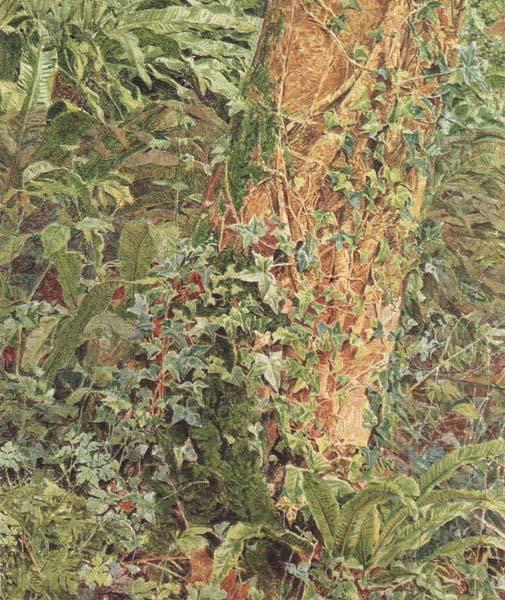 Albert Joseph Moore,ARWS Study of an Ash Trunk (mk46)